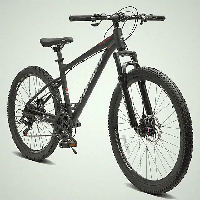 26 Inch Mountain Bike, 21-Speed Adult Bicycle with Disc Brakes,Black