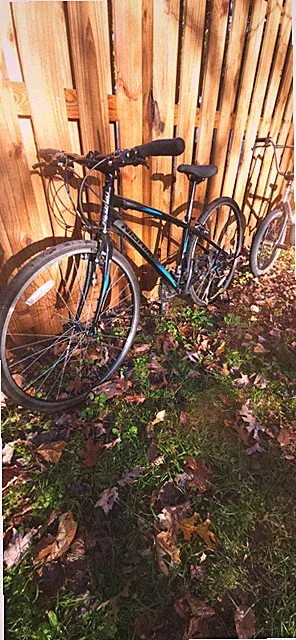 Nishiki Hybrid Road Gravel Bike